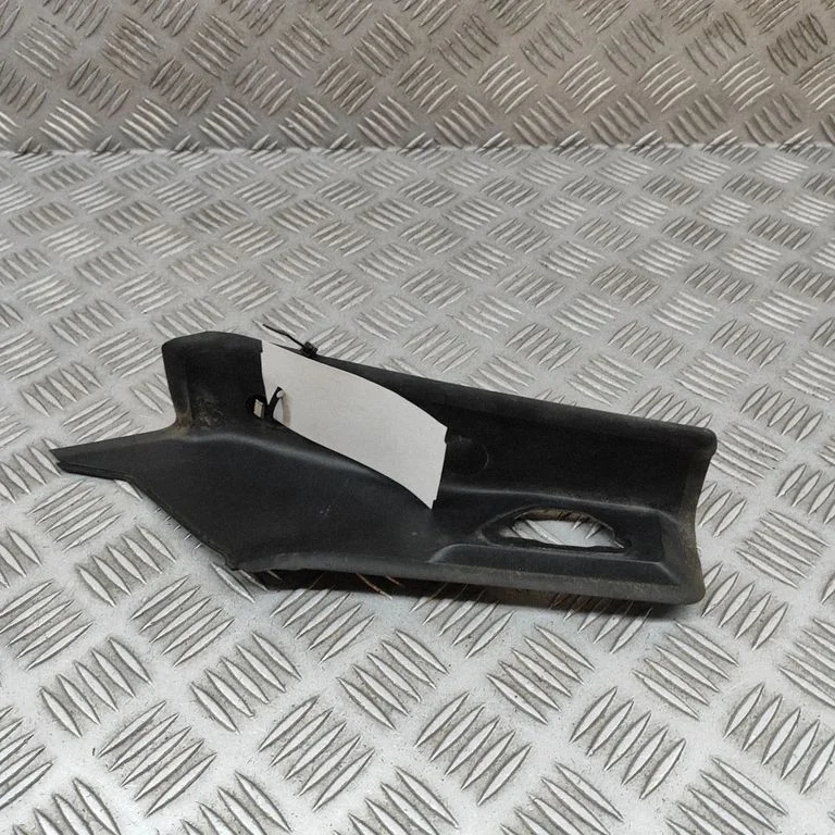 Kita bagažinės apdailos detalė