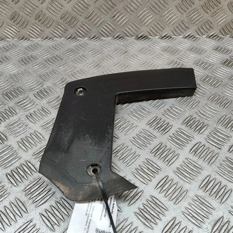 Kita bagažinės apdailos detalė