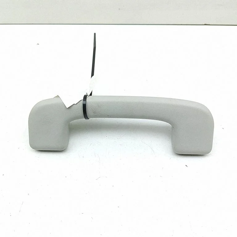 Front interior roof grab handle – Ford Mustang Mach-E (2020-)