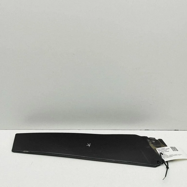(B) pillar trim (bottom) 670061899