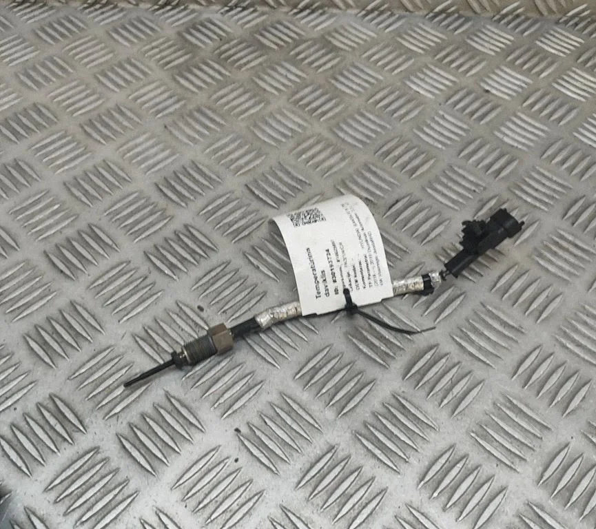 Eļļas temperatūras mērītājs 392202F900