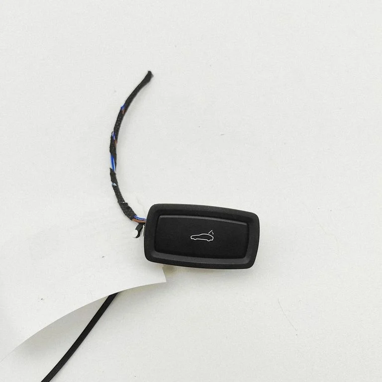 Tailgate/boot open switch button 971959832B