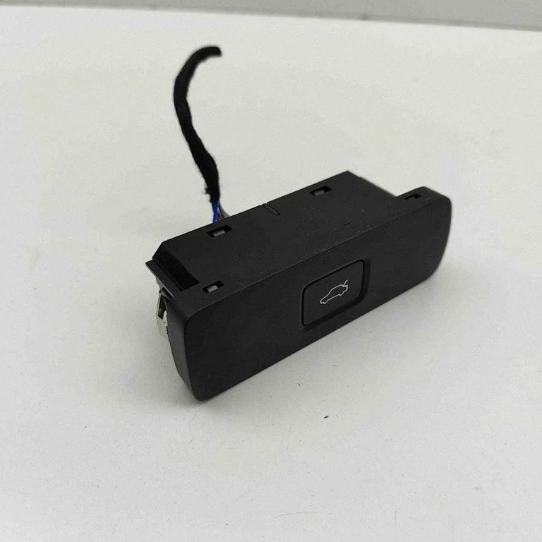 Tailgate/boot open switch button
