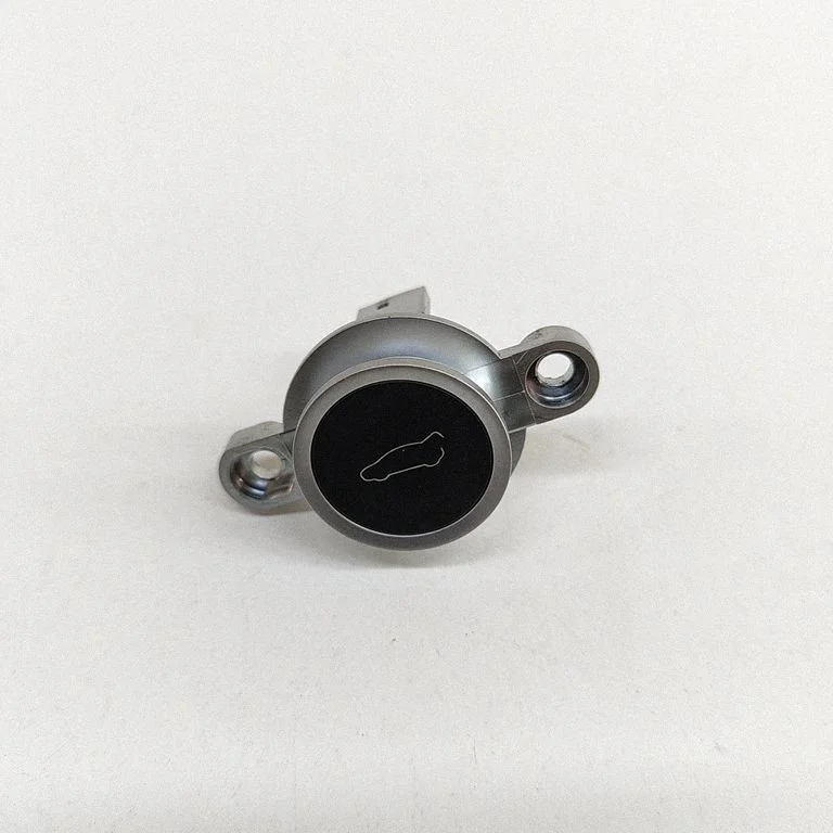 Tailgate/boot open switch button 104262900B