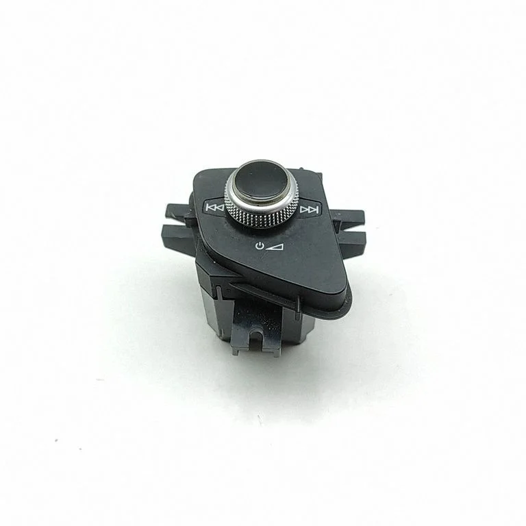 Sound control switch 4M2919616B
