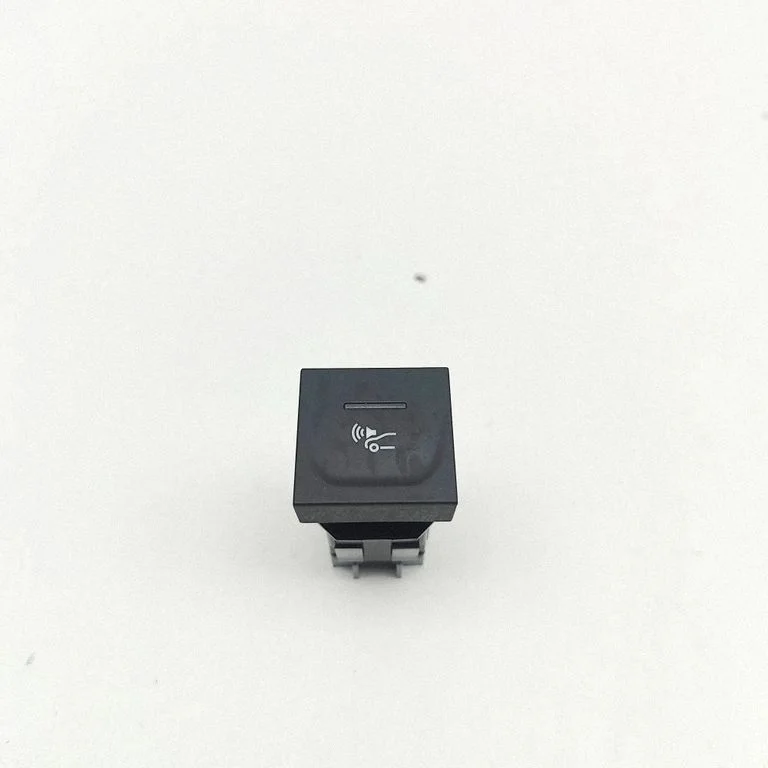 Other switches/knobs/shifts 256A65302R