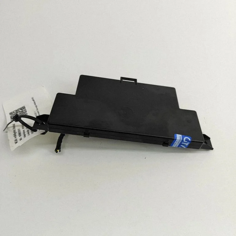 Door central lock control unit/module 110024100J