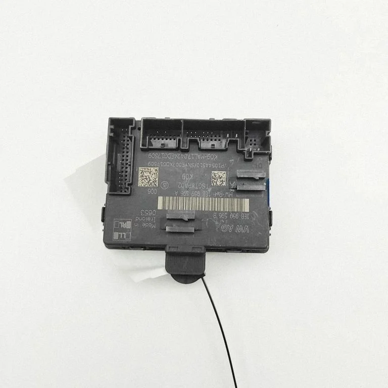 Ukseelektroonika juhtplokk 1EB959596A