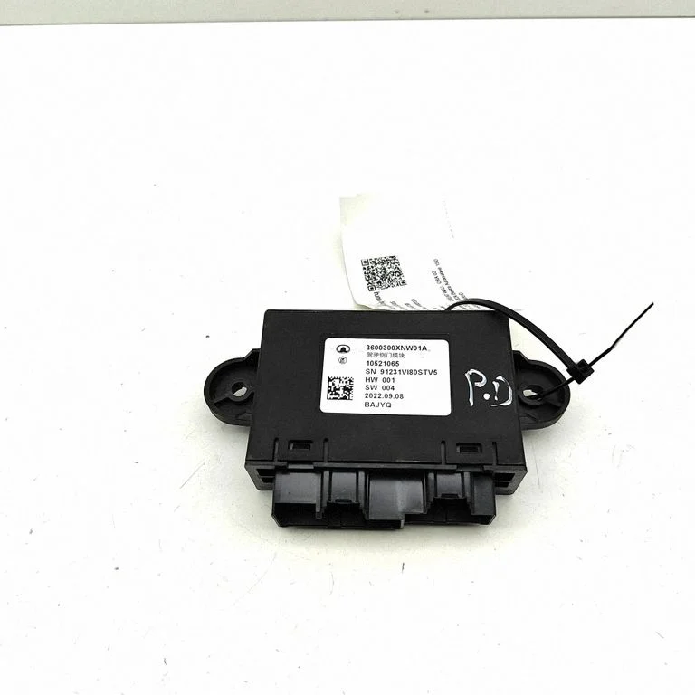 Door control unit/module 3600300XNW01A – Great Wall Ora 03 (2020-)
