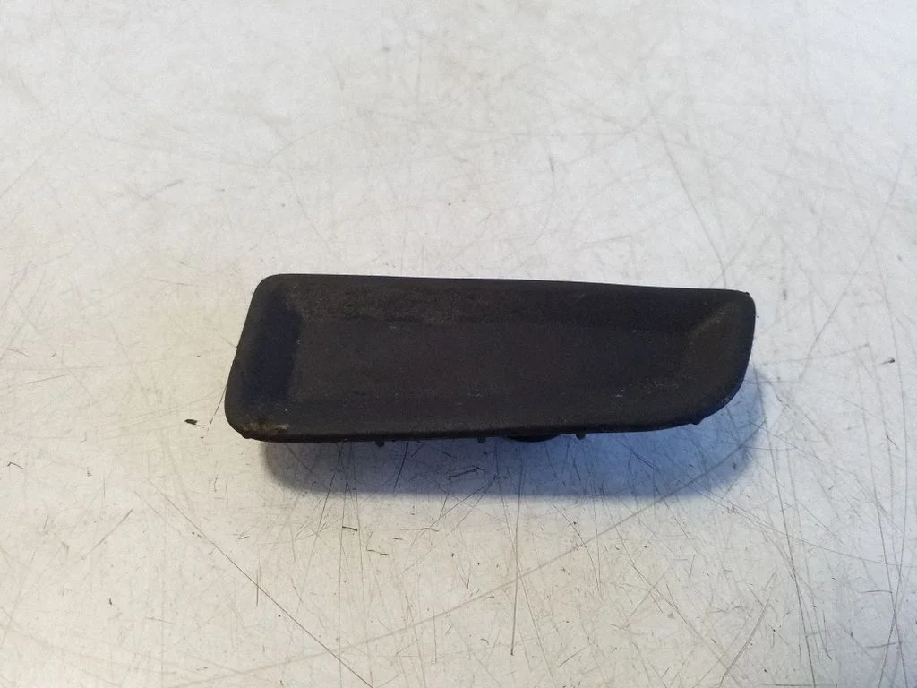 Other front door trim element