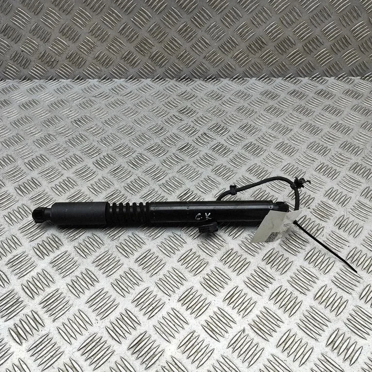 Durvju elektronikas vadības bloks 106344100C