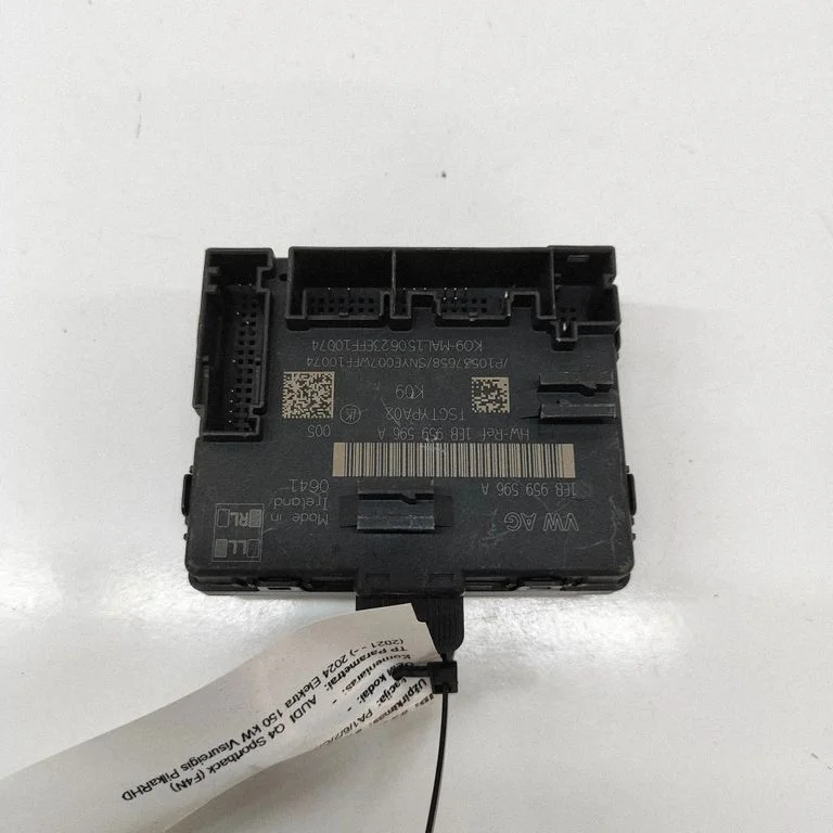 Moduł drzwi 1EB959596A