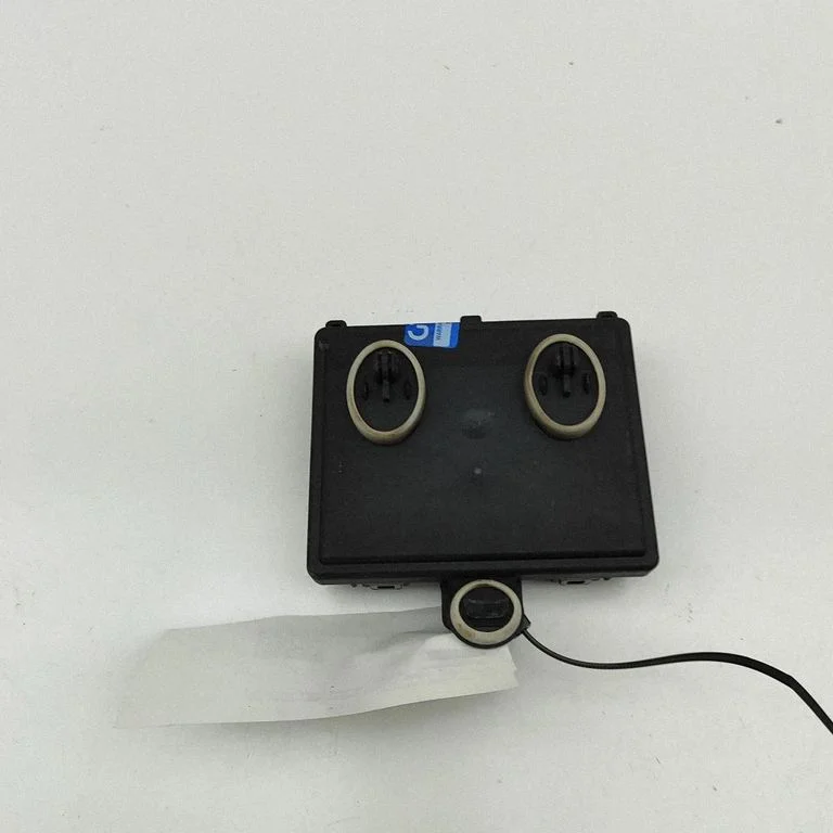 Durų elektronikos valdymo blokas