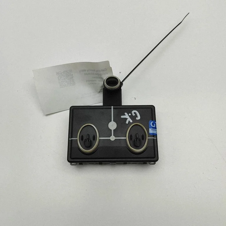 Durvju elektronikas vadības bloks 1EA959597