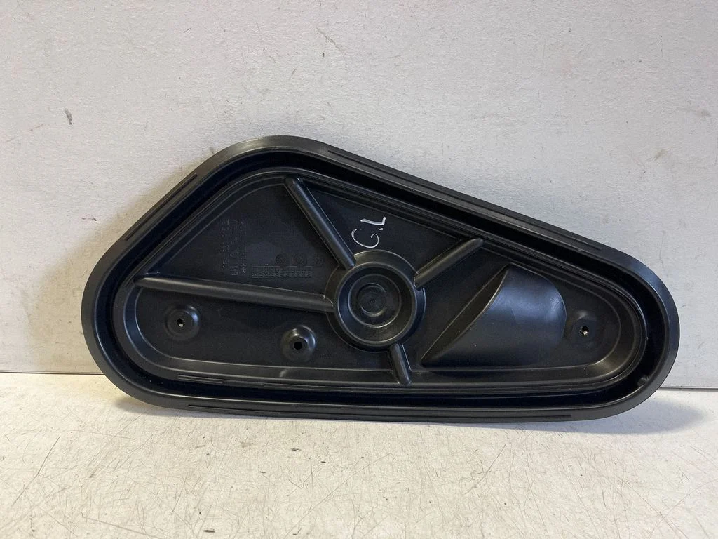 Other rear door trim element 2GA839915B