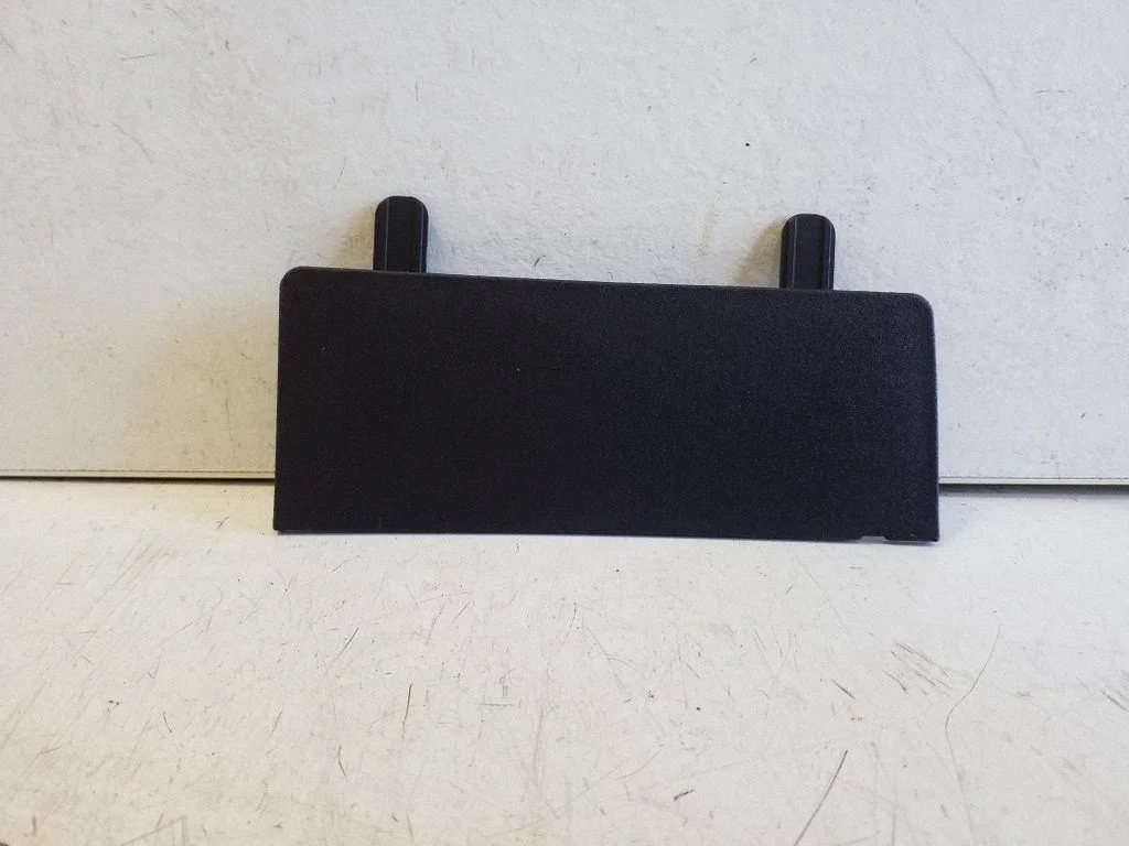Other rear door trim element 74038F4020