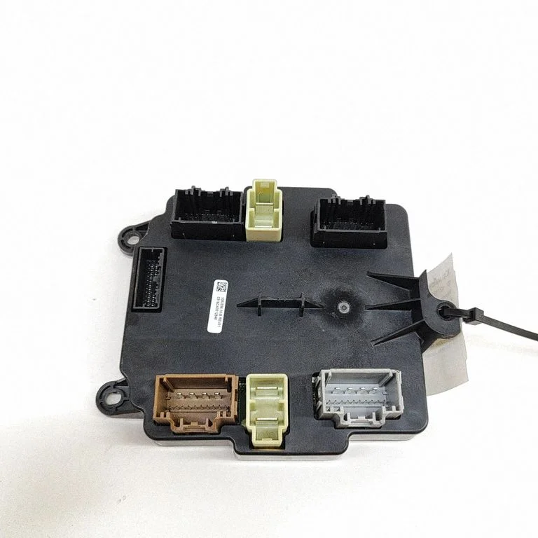 Door control unit/module 106205610B