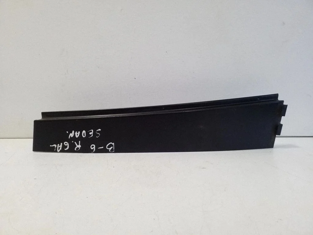 Cita aizmugurējo durvju apdares detaļa – Volkswagen Passat B6 (2005-2010)