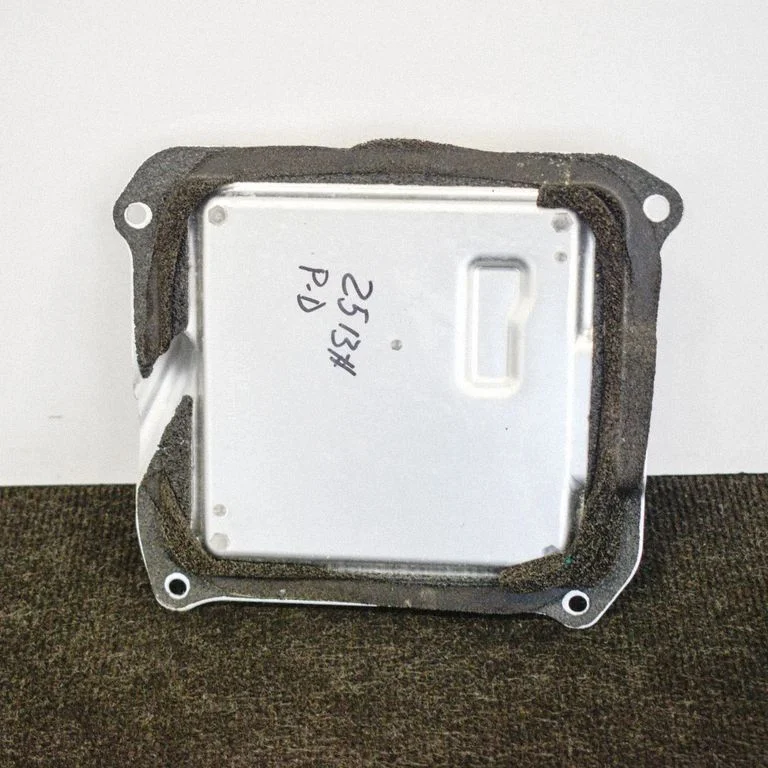 Ukseelektroonika juhtplokk – Tesla Model S (2012-)