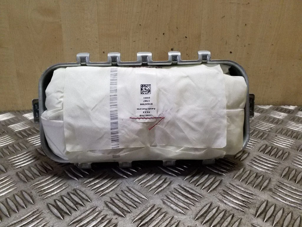 Passenger airbag DS73F044A74AC