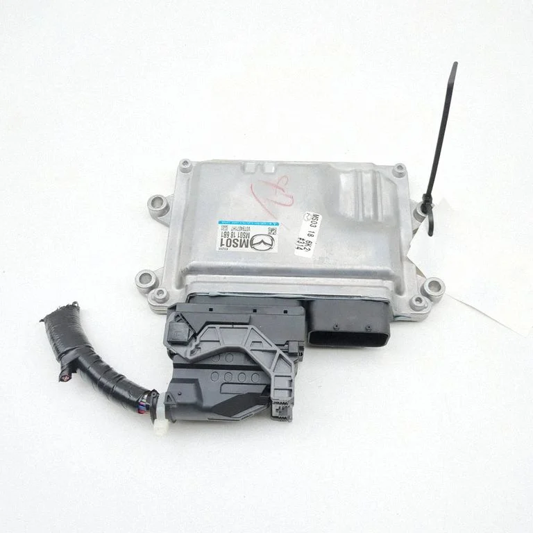 Dzinēja vadības bloks MS01186B1