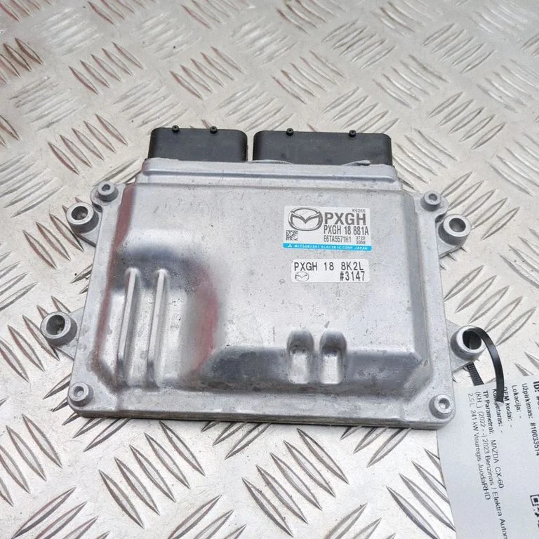 Dzinēja vadības bloks PXGH188K2L
