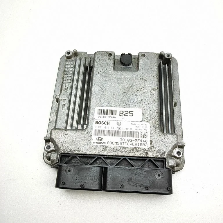 Dzinēja vadības bloks 0281017541