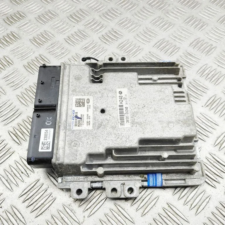 Engine control unit/module 391002U240