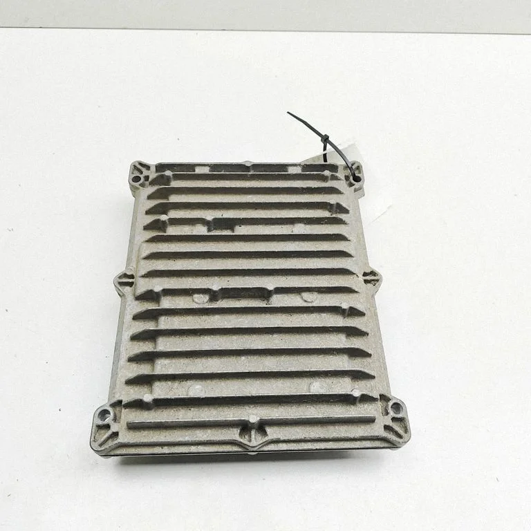 Dzinēja vadības bloks 0281030218