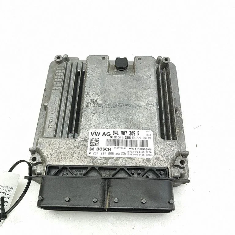 Dzinēja vadības bloks 0281031066