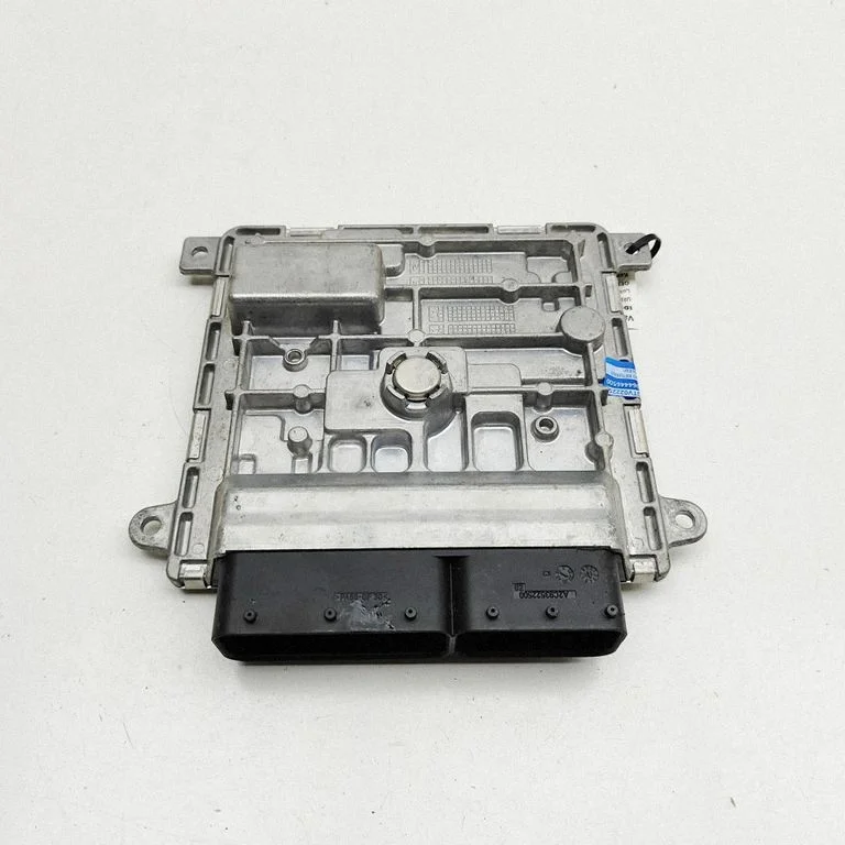 Dzinēja vadības bloks A2829013000