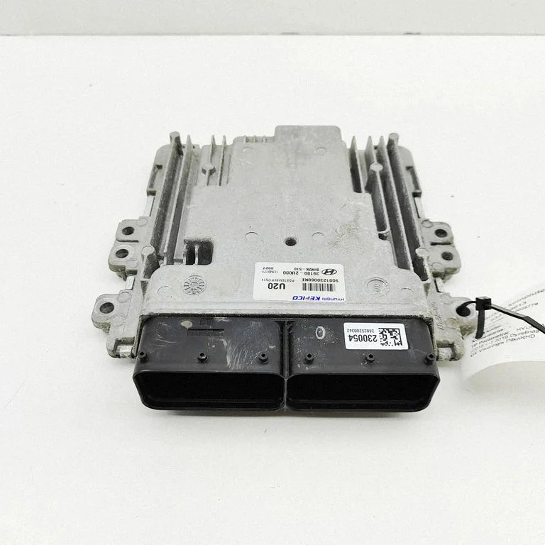 Dzinēja vadības bloks 391992U000