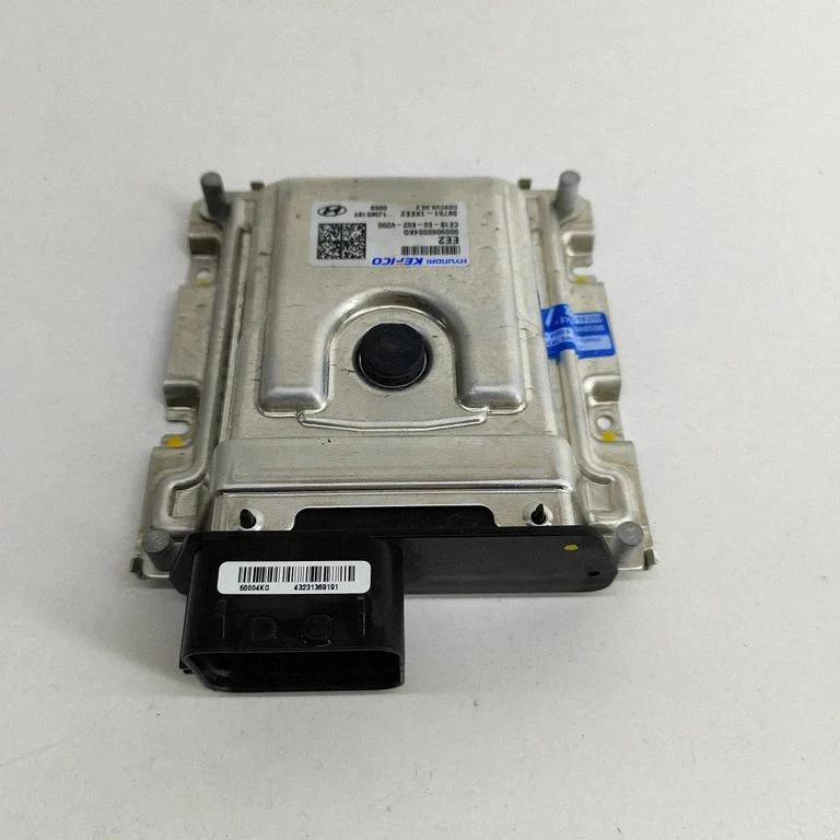 Dzinēja vadības bloks 397511XEE2
