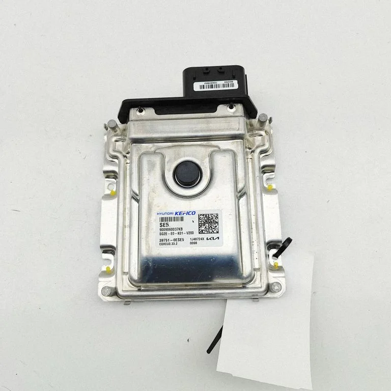Dzinēja vadības bloks 397510ESE5