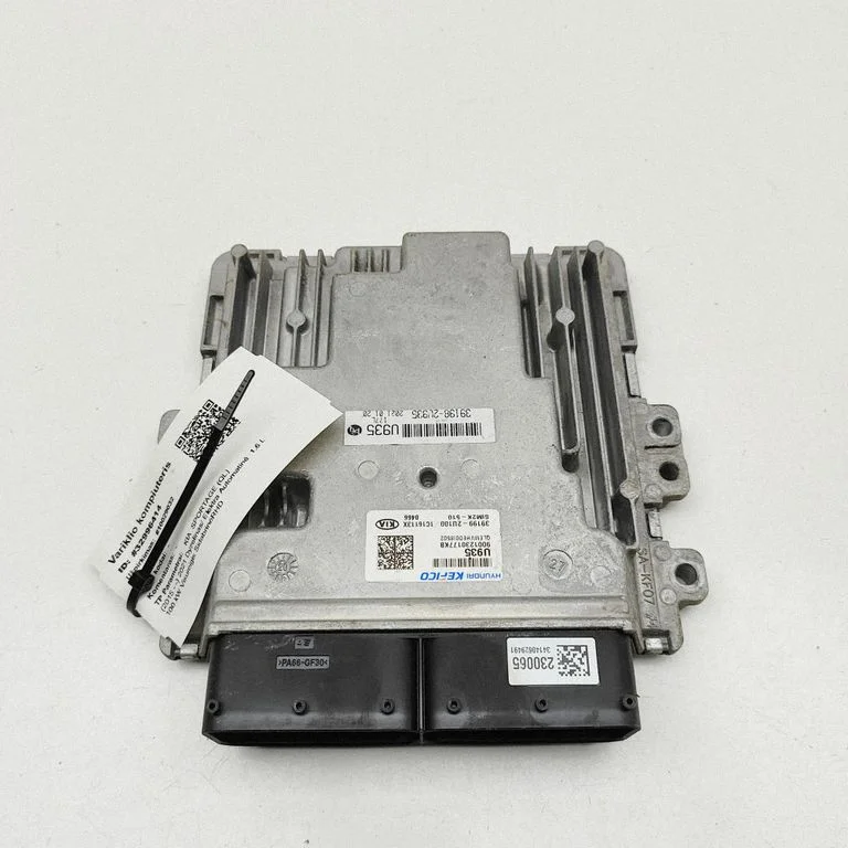 Dzinēja vadības bloks 391982U935