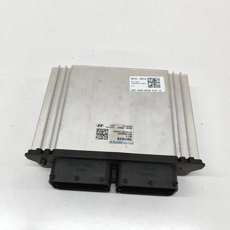 Dzinēja vadības bloks 391252MFL0