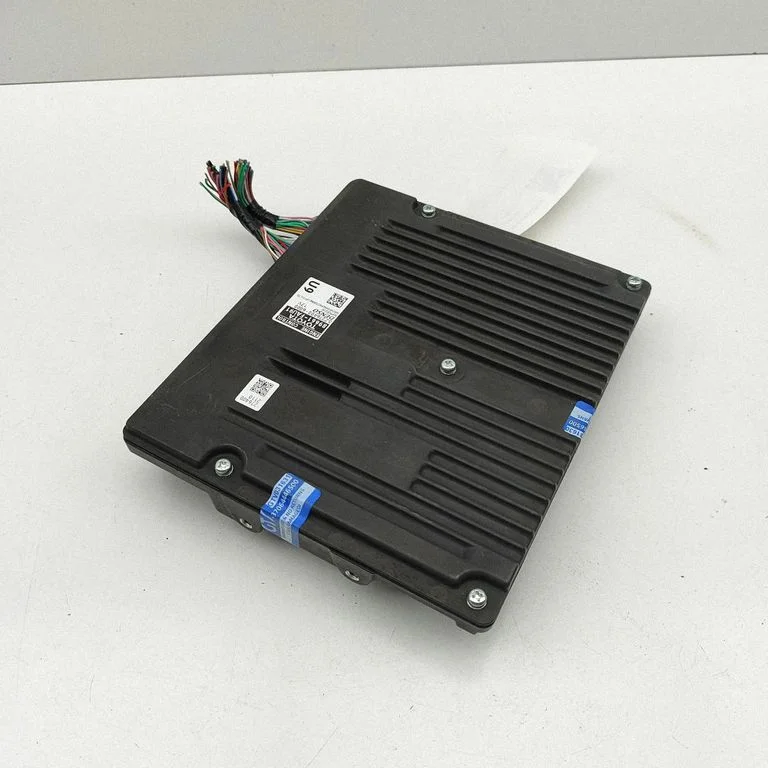 Dzinēja vadības bloks 89661FAU91