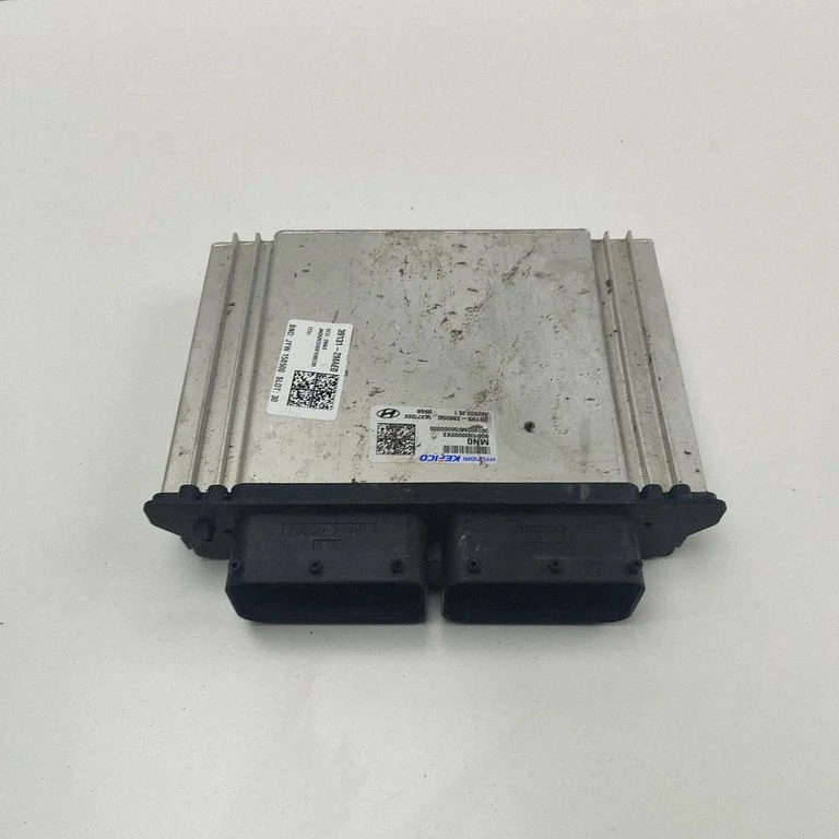 Dzinēja vadības bloks 391312MAE0