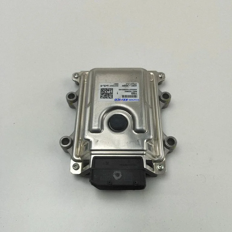 Dzinēja vadības bloks 429513D560