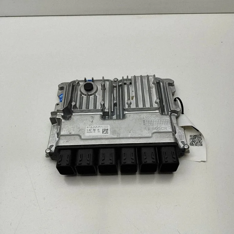 Engine control unit/module 0261S1066L