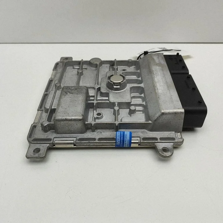 Dzinēja vadības bloks A2829013000