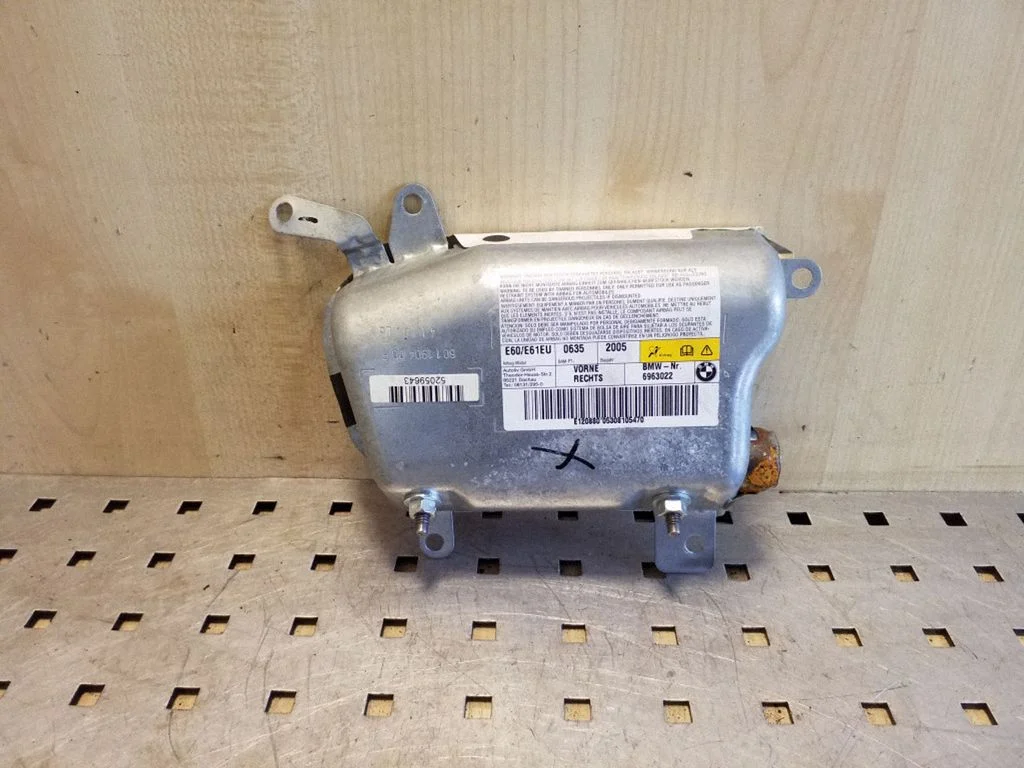 Front door airbag 601190400F