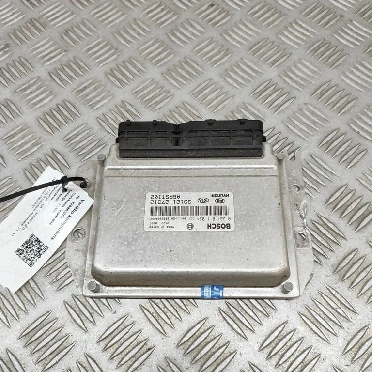 Dzinēja vadības bloks 0281011024