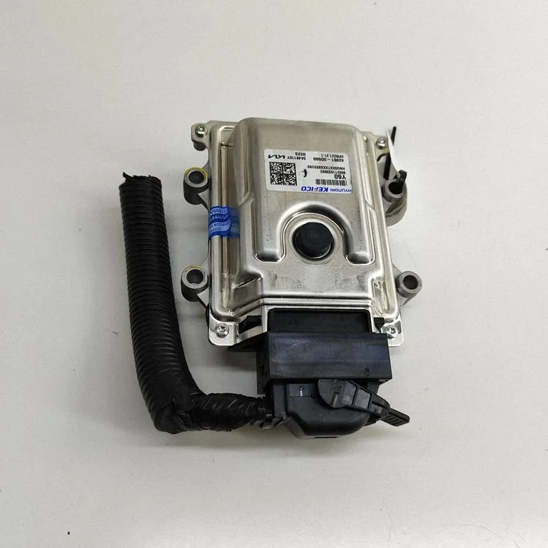Dzinēja vadības bloks 429513D560
