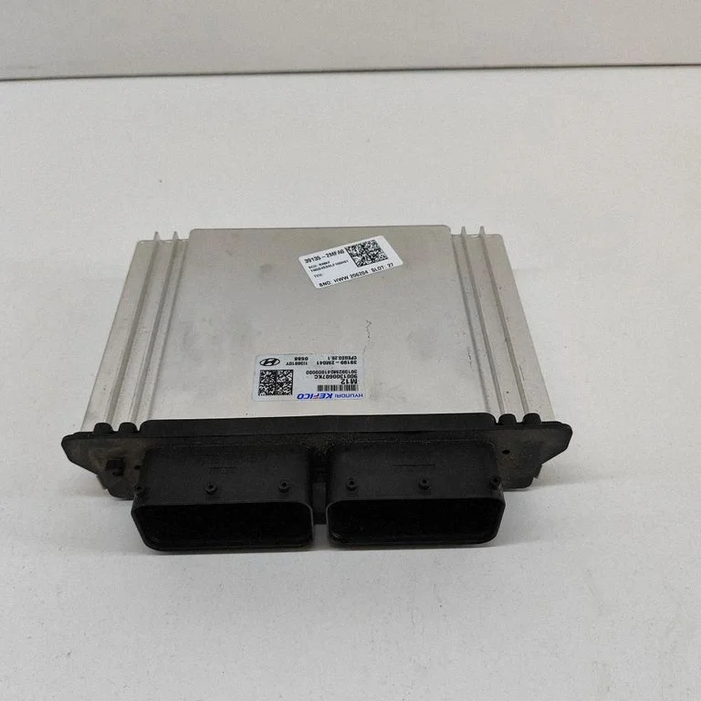 Dzinēja vadības bloks 391352MFA0
