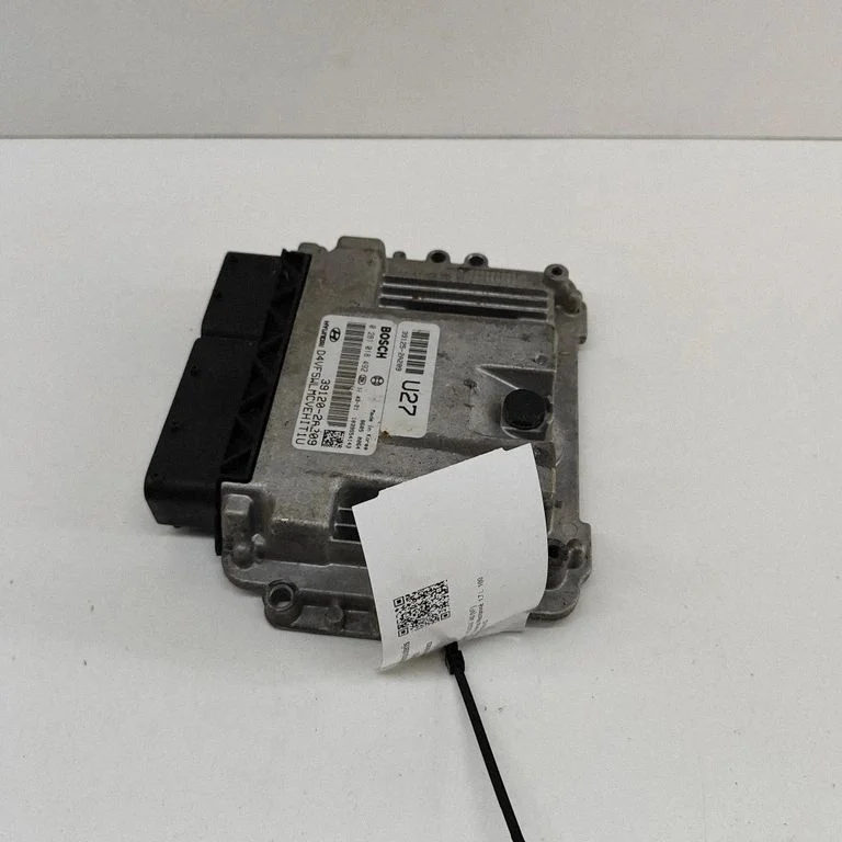 Dzinēja vadības bloks 391202A209
