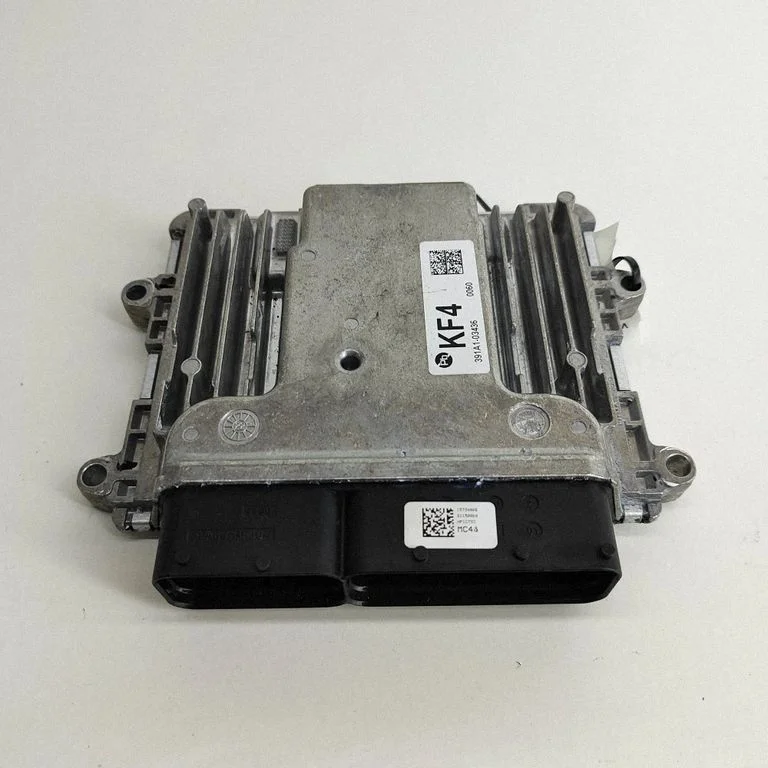 Engine control unit/module 3911003913
