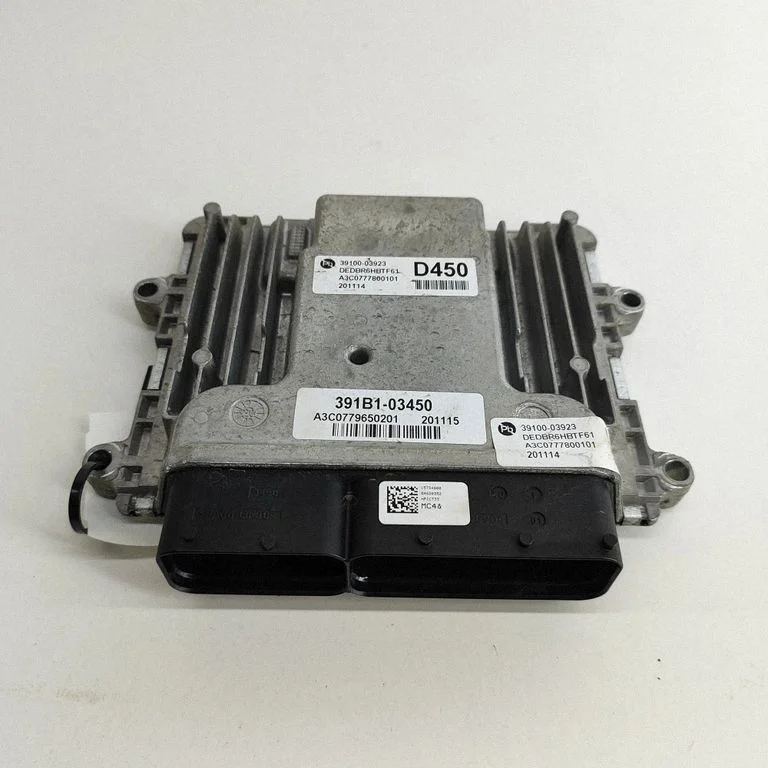 Dzinēja vadības bloks 3910003923