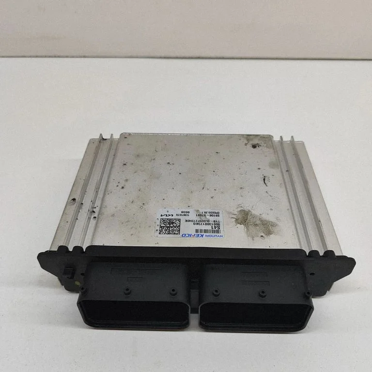 Dzinēja vadības bloks 3910607041