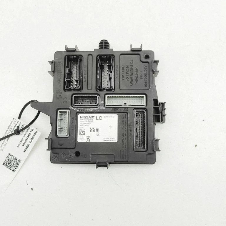 Kėbulo modulis